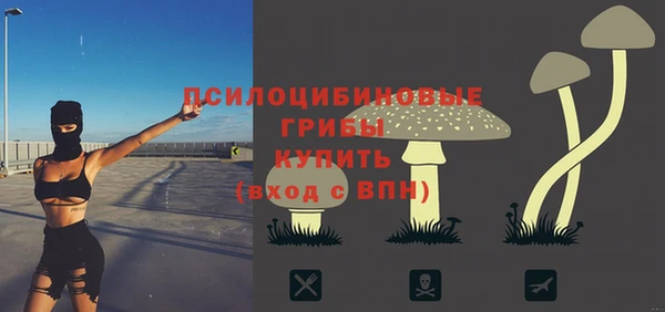 a pvp Алзамай