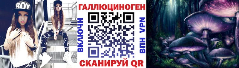 Псилоцибиновые грибы Psilocybine cubensis  закладка  Лесной 