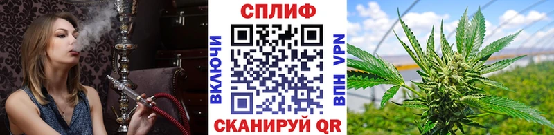 Марихуана индика Лесной